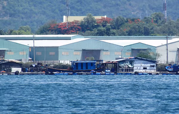 Chủ tịch thành phố biết từ lâu và đang rà soát