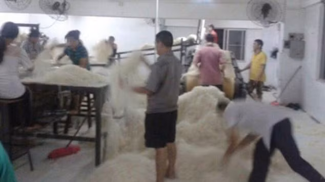 Công nhân dẫm đạp lên mỳ trong nhà máy Tongcheng.