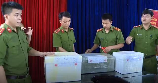 Đội Cảnh sát điều tra tội phạm về hình sự - kinh tế - ma túy, Công an huyện Lục Yên tiến hành bàn giao 105kg tiền cổ. Số tiền cổ do lực lượng Công an huyện Lục Yên thu giữ.