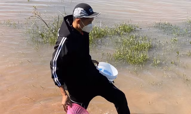 Người dân kiếm tiền triệu mỗi ngày nhờ 'lộc trời ban' 