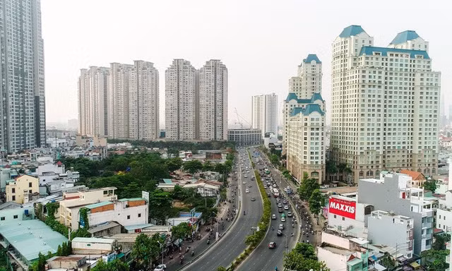 Dự án đất nền tại khu nhà ở Đại Nam, Bình Dương trở thành nơi thả bò. Ảnh: Hương Chi