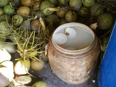 Tẩy trắng dừa nước bằng hóa chất công nghiệp