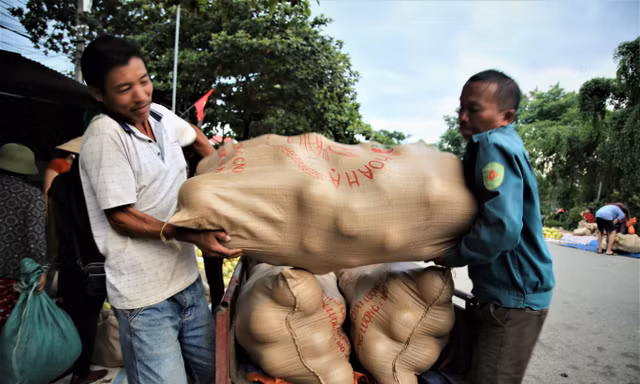 Khung cảnh nhộn nhịp, tấp nập ở đất bưởi Hương Khê mùa thu hoạch 