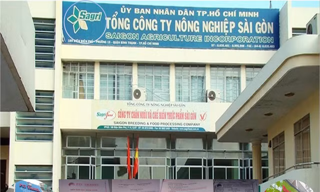 Liên quan sai phạm của Sagri, giám đốc và kế toán trưởng của Cty Lữ hành Hòa Bình Quốc tế và Cty du lịch Thanh niên xung phong bị bắt