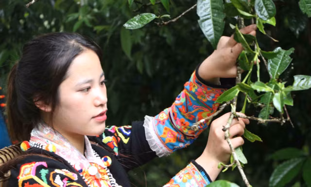 Bảo tồn 'lộc trời' nơi núi rừng biên cương