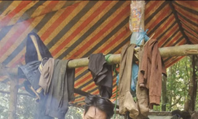 Theo chân dân cội tìm trầm