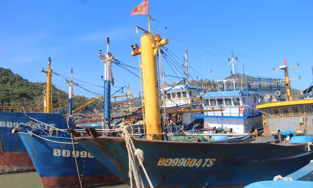 Nhiều tàu cá đóng theo Nghị định 67 “mắc cạn”, ngư dân không có tiền trả nợ ngân hàng và đối diện với việc hầu tòa. Ảnh: Bình Phương