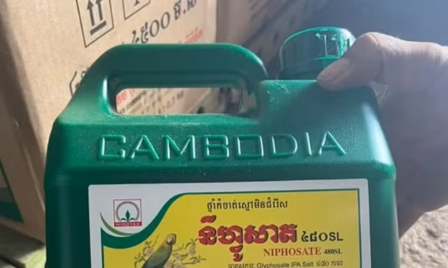 Phá đường dây nhập lậu lượng lớn thuốc bảo vệ thực vật không được sử dụng tại Việt Nam