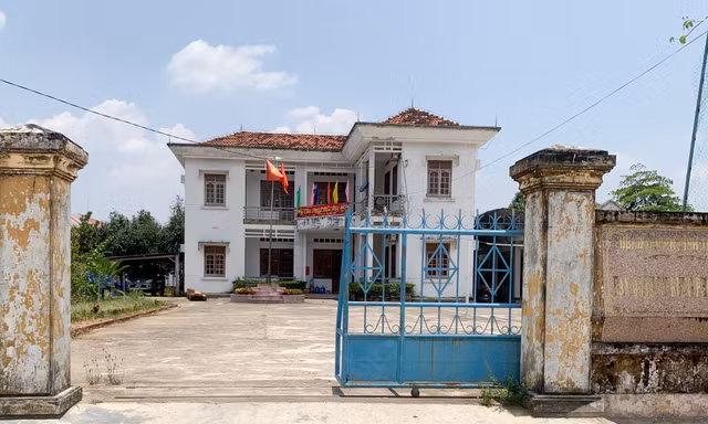 Bình Định chỉ đạo thanh tra, giám định thiệt hại rừng trồng