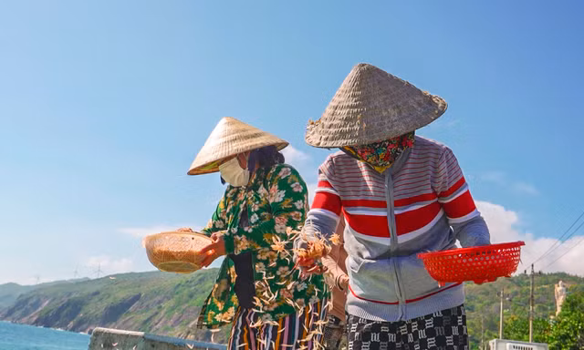 Ngư dân Bình Định hưởng 'lộc biển' cuối năm