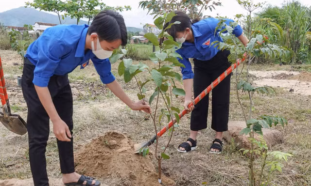 Tuổi trẻ Bình Định, Nghệ An ra quân Tháng Thanh niên năm 2022