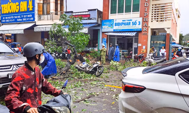 Cây xanh bật gốc đè trúng một người đi đường