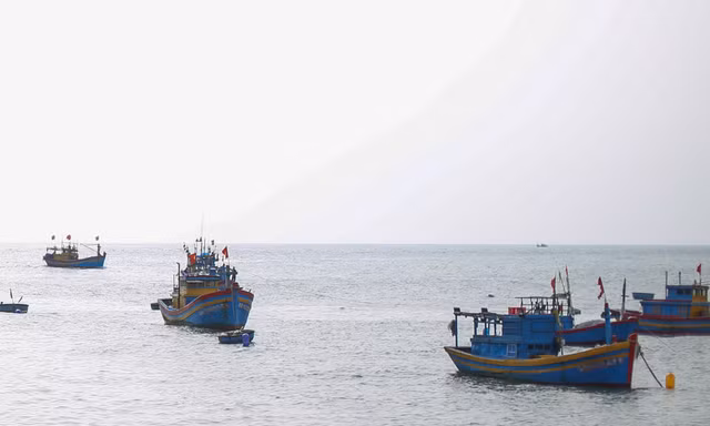 Hai ngư dân Bình Định rơi xuống biển mất tích