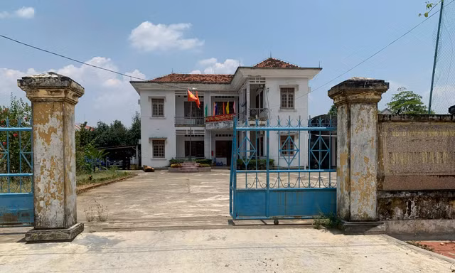Kỷ luật giám đốc BQL Rừng phòng hộ Vĩnh Thạnh - Bình Định 