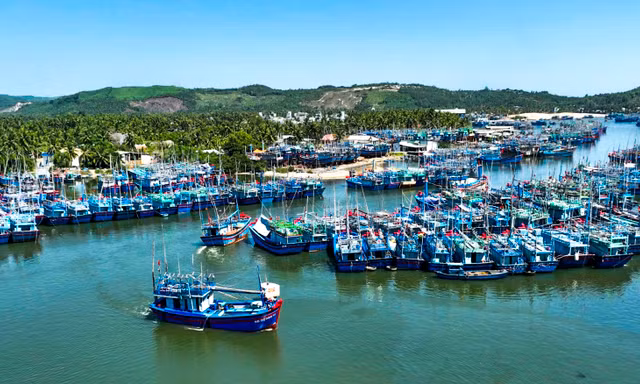 Hai ngư dân Bình Định rơi xuống biển tử vong