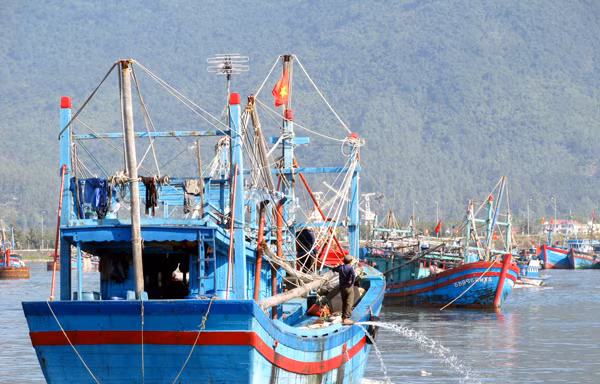 TS Đinh Xuân Thảo: Tạo điều kiện cho các hoạt động kinh tế trên biển là một hướng đi đúng đắn Ảnh: Nam Cường