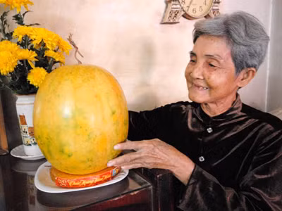 Dưa hấu để gần 1 năm vẫn tươi xanh