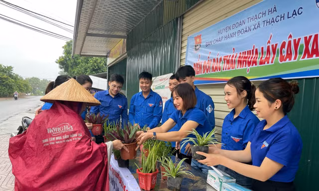 Tuổi trẻ Hà Tĩnh dọn đường bờ biển, đổi rác nhựa lấy cây xanh
