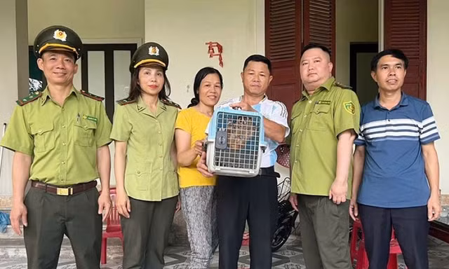 Phát hiện động vật quý hiếm trong vườn nhà dân