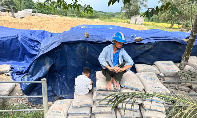 Để hơn 200 tấn xi măng hư hỏng, chủ tịch xã bị bắt