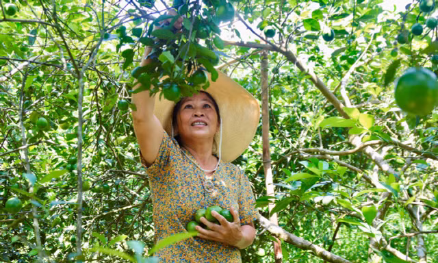 'Chìa khoá' giúp người dân xã miền núi thoát nghèo