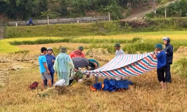 Liên tiếp 4 người bị sét đánh tử vong, chuyên gia đưa ra cảnh báo