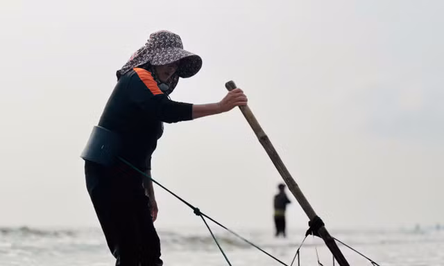 'Lộc biển' dạt trắng bờ biển, ngư dân cào ốc ngày kiếm tiền triệu