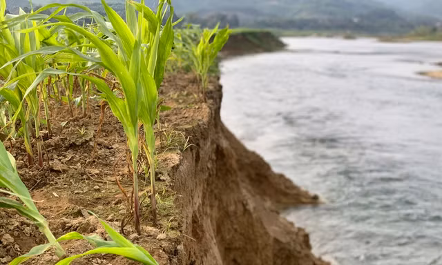 Dân lo lắng khi sông lấn làng, 'nuốt' đất sản xuất ở Hà Tĩnh