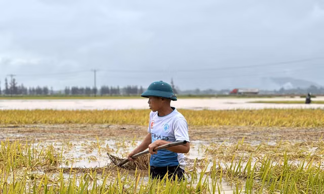 Lũ đến bất ngờ vào mùa hè: 'Chúng tôi mất trắng… rồi'