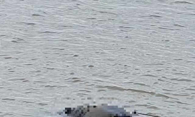 Phát hiện thi thể nam thanh niên trên sông Lam sau 2 ngày mất tích