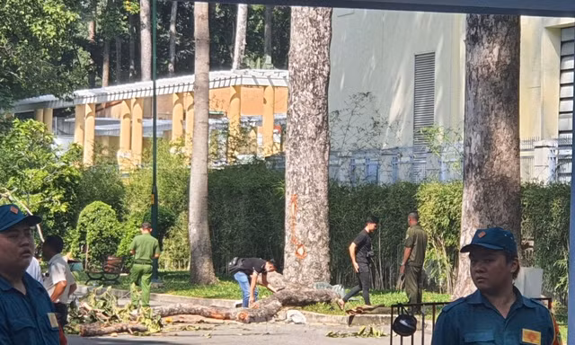 Vụ cây xanh gãy đè chết 2 người: 3 nạn nhân bị thương sức khỏe ra sao?