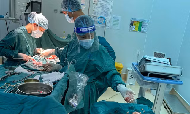 Hơn 100 khối bướu như 'quầy dừa' xếp đầy ổ bụng bệnh nhân