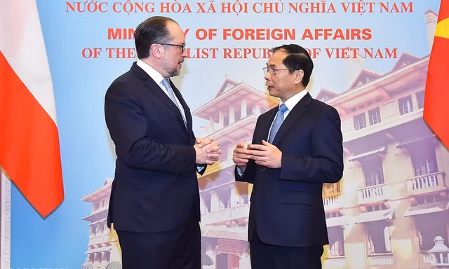 Bộ trưởng Ngoại giao Bùi Thanh Sơn tiếp người đồng cấp Áo Alexander Schallenberg. (Ảnh: baoquocte)