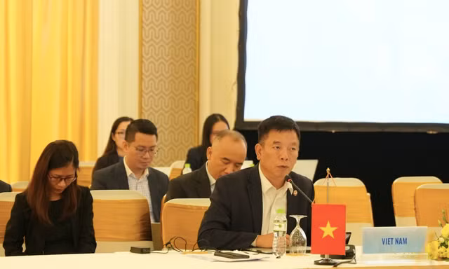 Đại sứ Vũ Hồ phát biểu tại hội nghị. (Ảnh: Mofa)