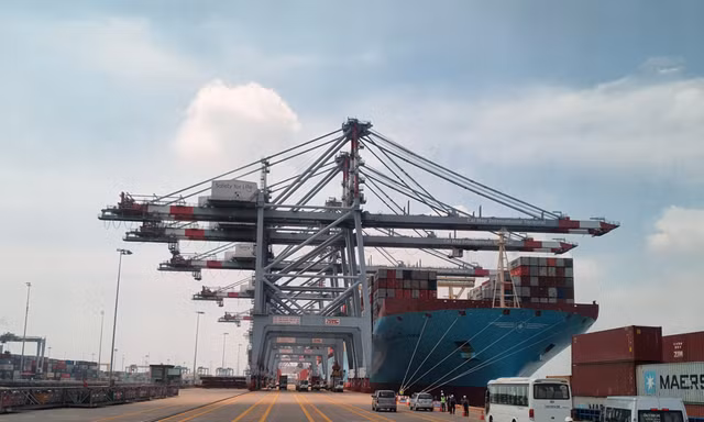 Chiêm ngưỡng 'siêu tàu' vận tải container lớn bậc nhất thế giới cập cảng Việt Nam