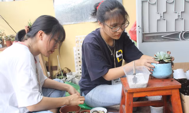 Tiếp nhận hơn 120.000 viên pin và thiết bị điện tử qua chương trình 'đổi pin lấy cây'
