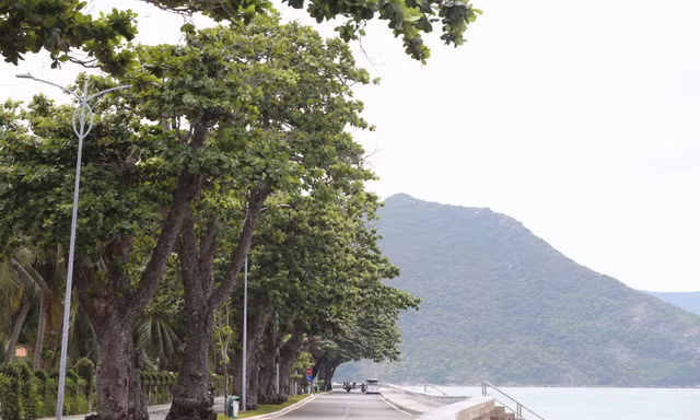 Sắc xanh tươi đẹp trên 'đảo ngọc' Côn Đảo