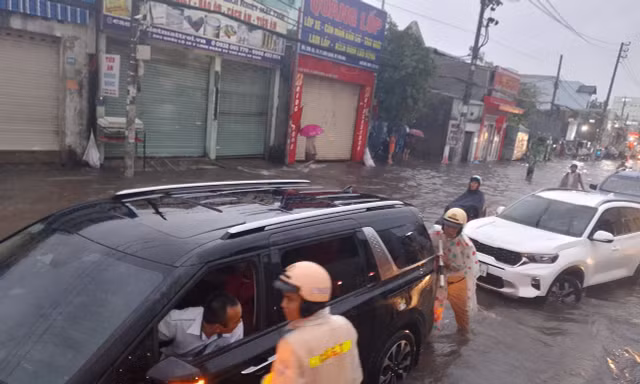 Cây xanh ngã đổ, ô tô ngập nước trong cơn mưa lớn ở TPHCM 