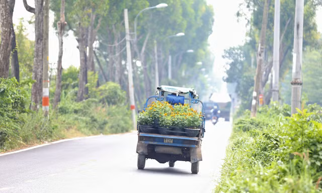 Tránh phát triển đô thị ngoại thành TPHCM theo 'vết dầu loang', tự phát