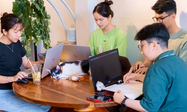 Thật chill cùng "mèo cứu hộ": Nhâm nhi đồ uống và mang "hoàng thượng" về nhà