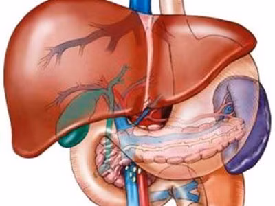 Tám triệu người Việt Nam nhiễm vi-rút viêm gan B hoặc C
