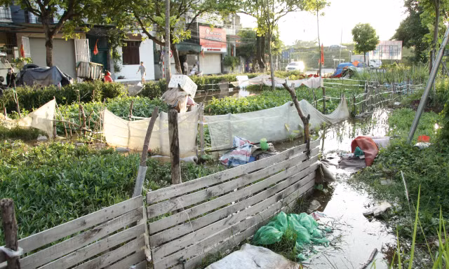 Hình ảnh hoang tàn trong công viên bị 'bỏ quên' tại Hà Nội