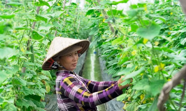 Lần đầu tiên có giải báo chí về Bình đẳng giới