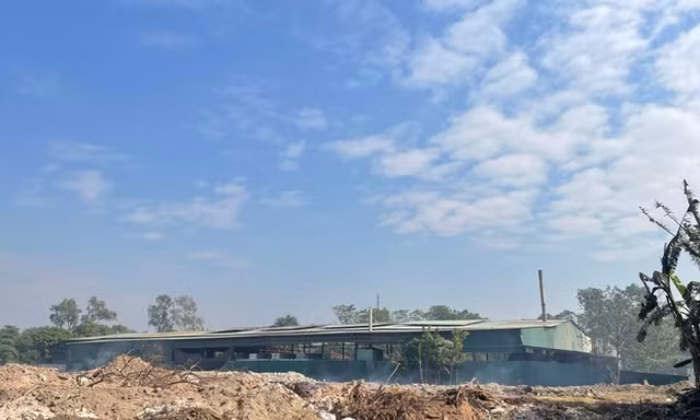 Dự án Cụm công nghiệp Đình Xuyên có diện tích 7,81 ha với tổng mức đầu tư 227 tỷ đồng