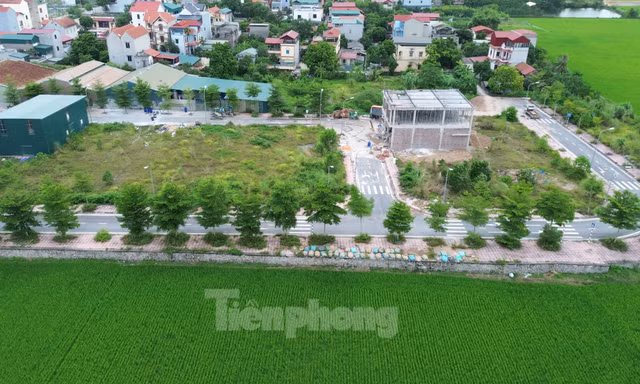 Cổ phần hóa chậm do tắc ở khâu phê duyệt phương án sử dụng đất