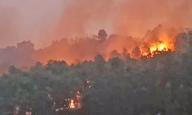 Liên tiếp xảy ra cháy rừng không rõ nguyên nhân, Hà Nội yêu cầu Công an điều tra