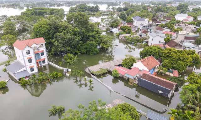 Hơn 7.400 nhân khẩu vùng bị ngập tại Chương Mỹ cần cứu trợ