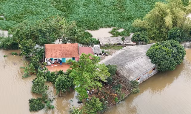 Hà Nội: Phát lệnh báo động lũ trên sông Cầu, sông Bùi trong đêm