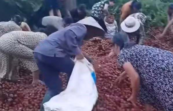 Hà Nội: Thực hư thông tin tranh nhau 'hôi vải' khi xe tải bị tai nạn giao thông
