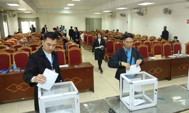 Hà Nội: Đấu giá 15 lô đất ở tại Mê Linh, giá khởi điểm 5,6 triệu đồng/m2